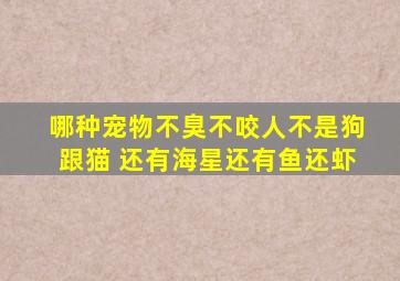 哪种宠物不臭不咬人不是狗跟猫 还有海星还有鱼还虾